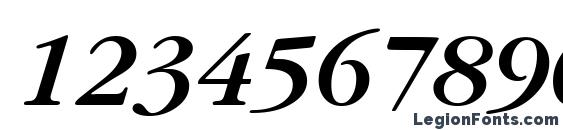 GarryMondrian5 SBldItalicSH Font, Number Fonts