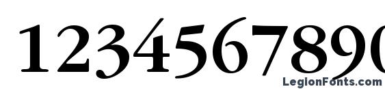 GarryMondrian5 SBldSH Font, Number Fonts