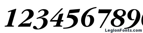 GarryMondrian6 BoldItalicSH Font, Number Fonts