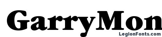 GarryMondrian8 UltraSH font, free GarryMondrian8 UltraSH font, preview GarryMondrian8 UltraSH font