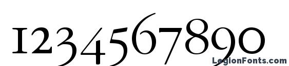 GarryMondrianExpt3 LightSH Font, Number Fonts