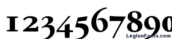 GarryMondrianExpt6 BoldSH Font, Number Fonts