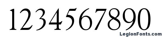 GascogneSerial Xlight Regular Font, Number Fonts