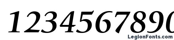 GiovanniStd BoldItalic Font, Number Fonts