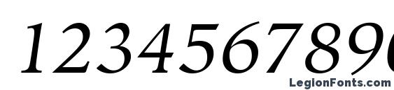 Glossary SSi Italic Font, Number Fonts