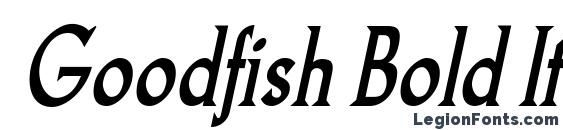 Goodfish Bold Italic font, free Goodfish Bold Italic font, preview Goodfish Bold Italic font