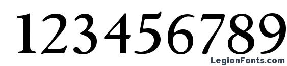 GouditaSerial Medium Regular Font, Number Fonts