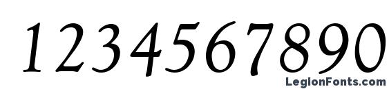 Goudy Retrospective SSi Italic Font, Number Fonts