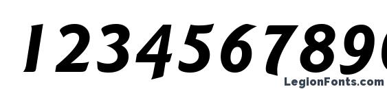 Goudy Sans Bold Italic BT Font, Number Fonts