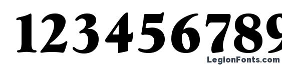 GoudySerial Heavy Regular Font, Number Fonts