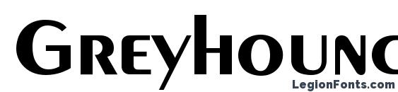 Шрифт Greyhound Bold, Типографические шрифты
