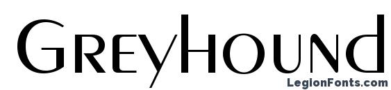 Greyhound Regular Font