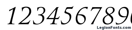 GuardiLTStd Italic Font, Number Fonts