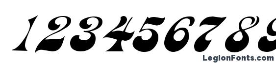 Haight Font, Number Fonts