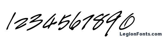 HandScript Bold Italic Font, Number Fonts