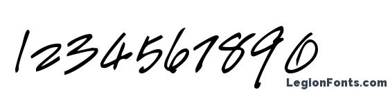 HandScript Bold Font, Number Fonts