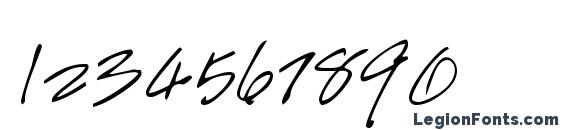 HandScript Regular Font, Number Fonts