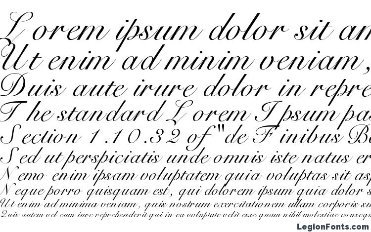 specimens HeilScript font, sample HeilScript font, an example of writing HeilScript font, review HeilScript font, preview HeilScript font, HeilScript font