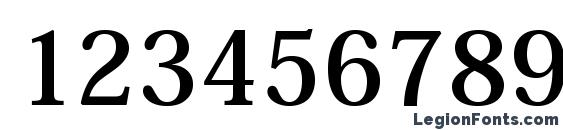 HeiseiMinStd W7 Font, Number Fonts