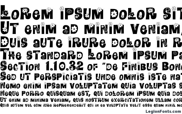 specimens HippieDisplay font, sample HippieDisplay font, an example of writing HippieDisplay font, review HippieDisplay font, preview HippieDisplay font, HippieDisplay font