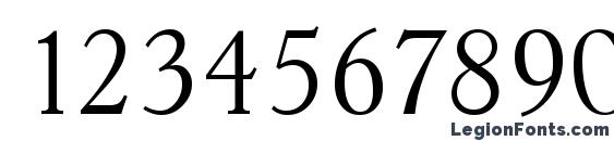 HobokenSerial Xlight Regular Font, Number Fonts