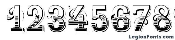 Holtzschue Regular Font, Number Fonts