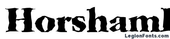 HorshamRandom Xbold Regular Font, Serif Fonts