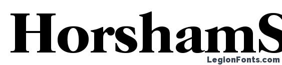 HorshamSerial Bold font, free HorshamSerial Bold font, preview HorshamSerial Bold font