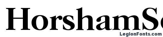 HorshamSerial Medium Regular Font, Serif Fonts