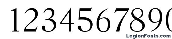 HorshamSerial Xlight Regular Font, Number Fonts