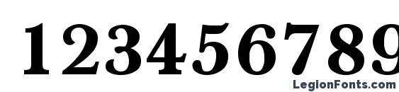 Hounds Bold Font, Number Fonts