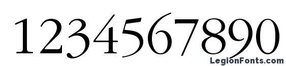 IGaramond Regular Font, Number Fonts