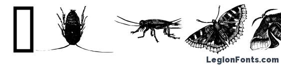 Insects one font, free Insects one font, preview Insects one font