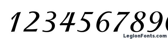 IsadoraStd Bold Font, Number Fonts