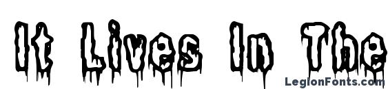 It Lives In The Swamp (BRK) Font