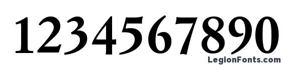 Italian Garamond Bold BT Font, Number Fonts