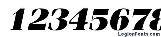 ITC Fenice LT Ultra Oblique Font, Number Fonts