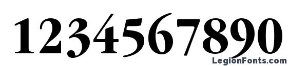 ITC Garamond LT Bold Condensed Font, Number Fonts