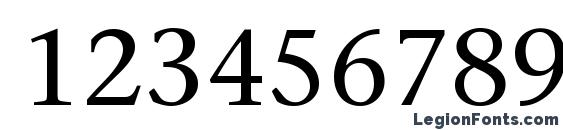 ITC Stone Serif LT Font, Number Fonts