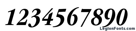 ITCGaramondStd BdCondIta Font, Number Fonts