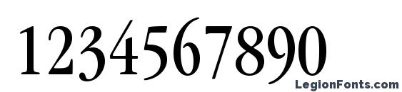 ITCGaramondStd BkCond Font, Number Fonts