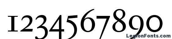 Jannon T Moderne Pro Font, Number Fonts