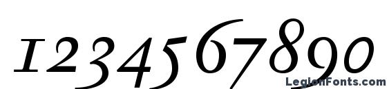 JannonTextOSF Italic Font, Number Fonts