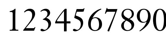 JansonTextLTStd Roman Font, Number Fonts