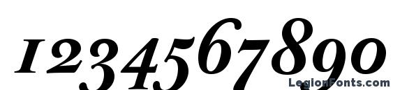 JBaskerville BoldItalic Font, Number Fonts