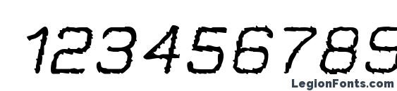 Jungle Burnout Oblique Font, Number Fonts