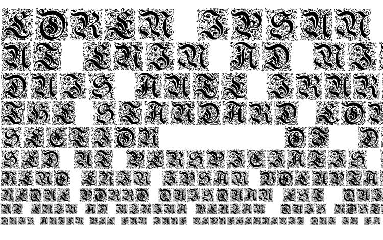 specimens Kanzlei initialen font, sample Kanzlei initialen font, an example of writing Kanzlei initialen font, review Kanzlei initialen font, preview Kanzlei initialen font, Kanzlei initialen font