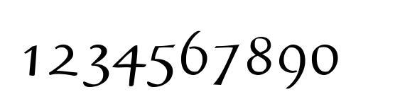 Kasper Font, Number Fonts