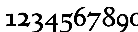 Kelmscott Roman NF Font, Number Fonts