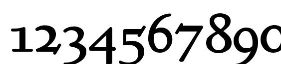 Kelmscottroman Font, Number Fonts